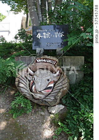 山古志の牛の角突き会場の風景 山古志の牛の角突き会場の風景 57545788