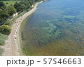 海 57546663