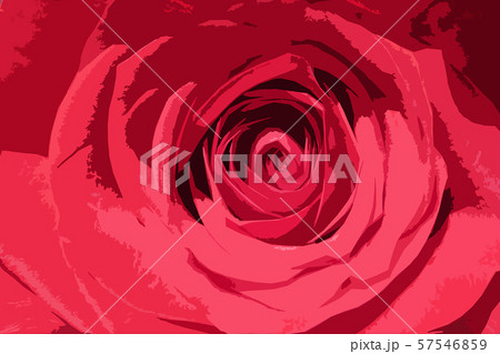 バラ ローズ バラ ローズ 57546859