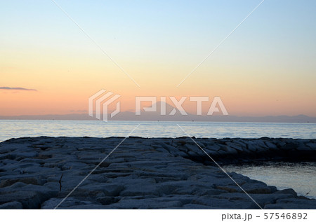 海 海 57546892