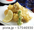 冬の味覚　白子天ぷら 57546930