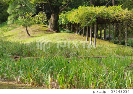 小石川後楽園の風景 小石川後楽園の風景 57548054
