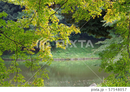小石川後楽園の風景 小石川後楽園の風景 57548057