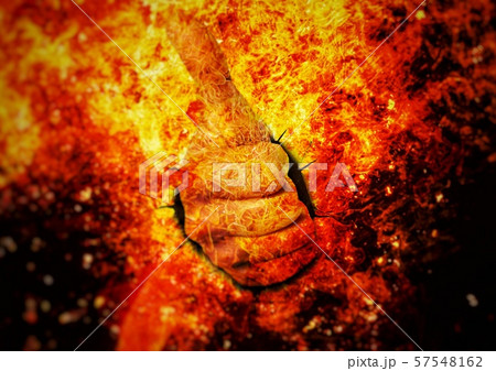 炎　ジェスチャー　親指を立てる 57548162