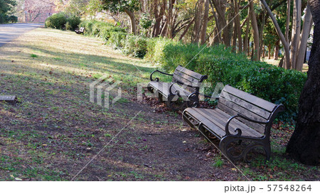 辰巳の森緑道公園の風景 57548264