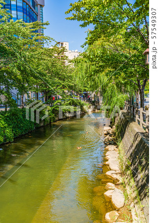北海道の夏 札幌 創成川通り周辺の風景 57549307