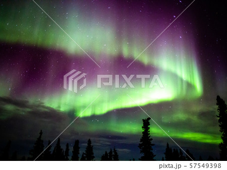 アラスカ フェアバンクスのオーロラ アラスカ フェアバンクスのオーロラ 57549398