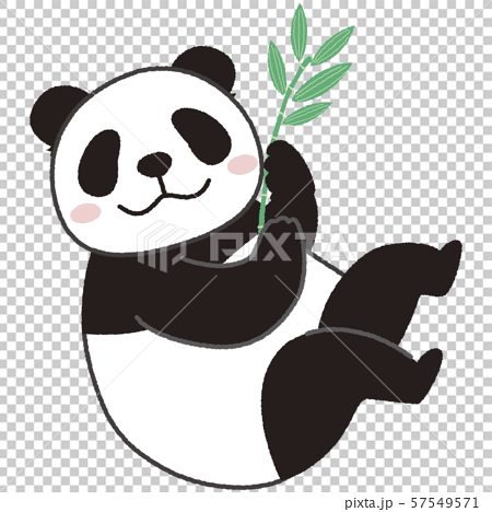 Bamboo And Panda Stock Illustration