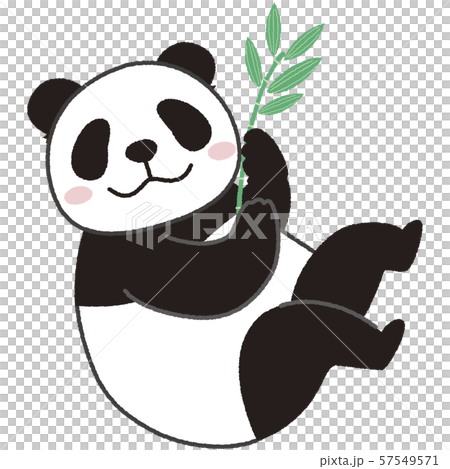 Bamboo And Panda Stock Illustration 57549571 Pixta