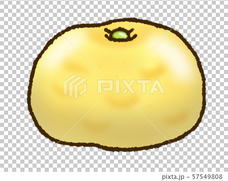 いよかん 57549808