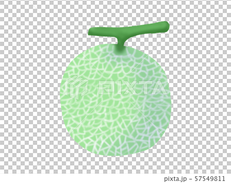 Melon (no line) 57549811