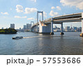 レインボーブリッジ　お台場公園から 57553686