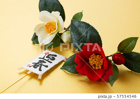 椿（造花） 57554546