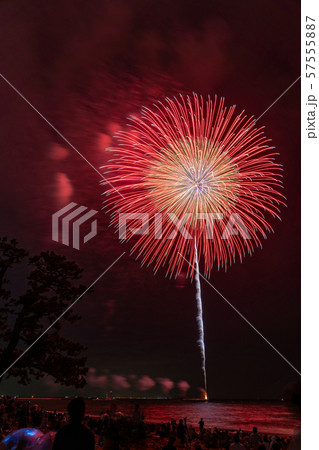 令和元年の鈴鹿げんき花火大会 57555887