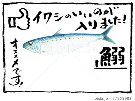 鰯おすすめメニュー 文字入り 鰯おすすめメニュー 文字入り 57555903