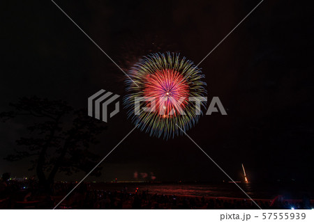 令和元年の鈴鹿げんき花火大会 57555939