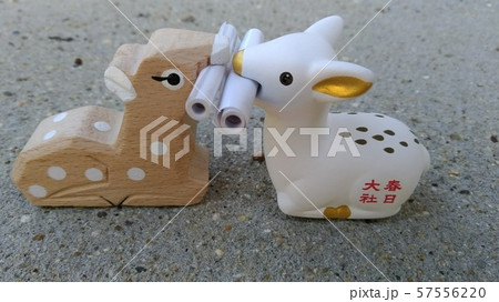 鹿みくじ 鹿みくじ 57556220