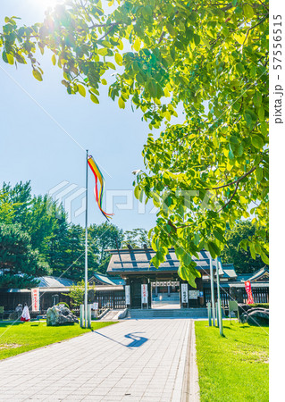 北海道の夏 札幌護国神社 北海道の夏 札幌護国神社 57556515