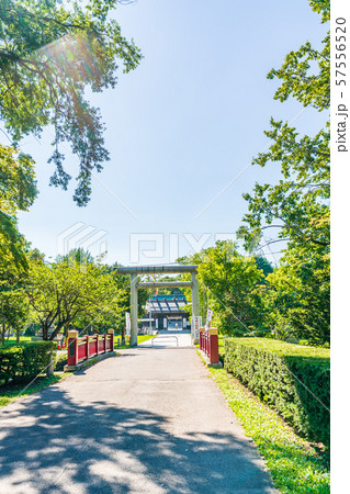 北海道の夏 札幌護国神社 北海道の夏 札幌護国神社 57556520