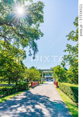 北海道の夏 札幌護国神社 57556521