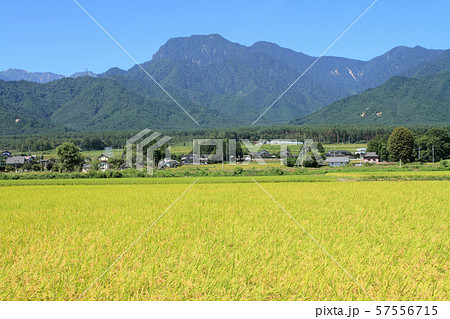 安曇野 実りの秋 安曇野 実りの秋 57556715