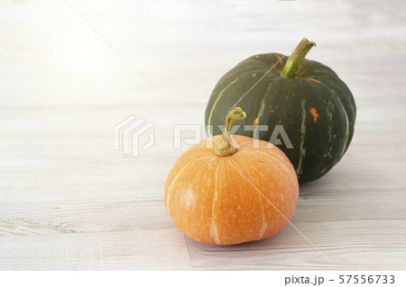 Two ripe pumpkins on a light background. Autumn harvest. Halloween 57556733