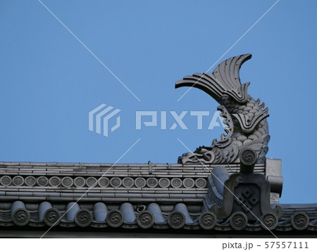 福知山城の鯱鉾 57557111