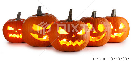 Halloween Pumpkins on white 57557553
