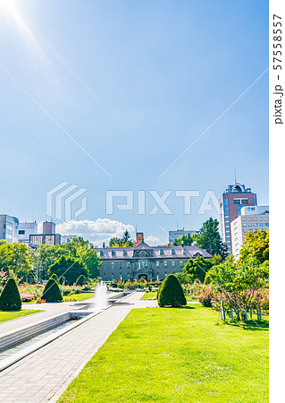 夏の北海道 札幌市資料館と大通り公園の風景 57558557
