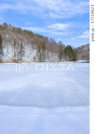 冬の風景 （凍結した池） 57558623