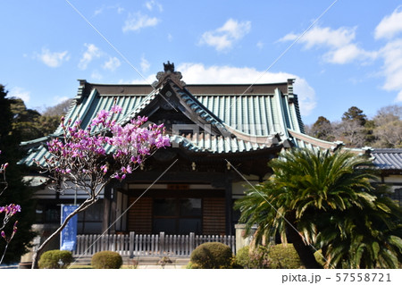 遊行寺 藤沢市 遊行寺 藤沢市 57558721