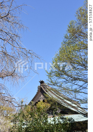 遊行寺 藤沢市 遊行寺 藤沢市 57558827