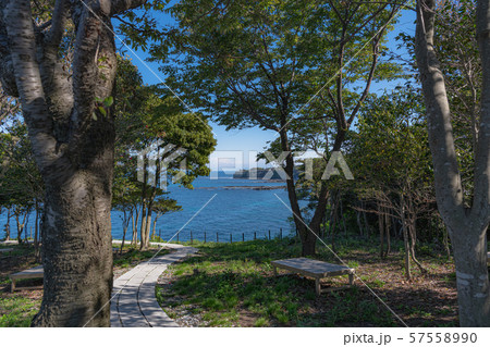 珠洲岬 (金剛岬)の風景 珠洲岬 (金剛岬)の風景 57558990