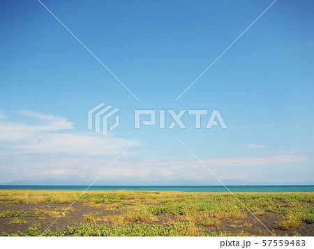 夏イメージ 海岸沿いの自然風景 57559483