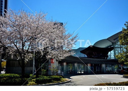 桜が舞う春の金沢駅の風景(5) 桜が舞う春の金沢駅の風景(5) 57559723