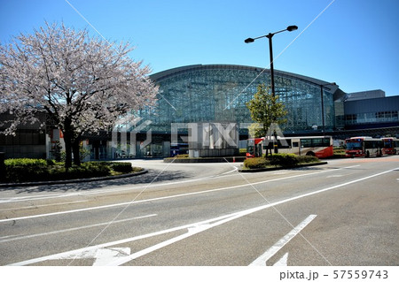 桜が舞う春の金沢駅の風景（２０） 57559743