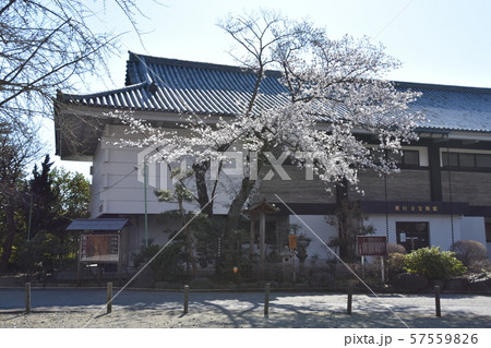 遊行寺 宝物館 藤沢市 遊行寺 宝物館 藤沢市 57559826