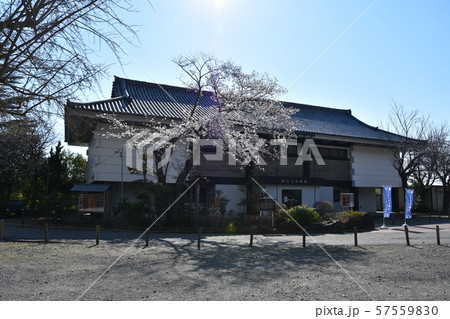 遊行寺 宝物館 藤沢市 遊行寺 宝物館 藤沢市 57559830