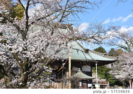 遊行寺　藤沢市 57559839