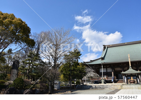 遊行寺　藤沢市 57560447