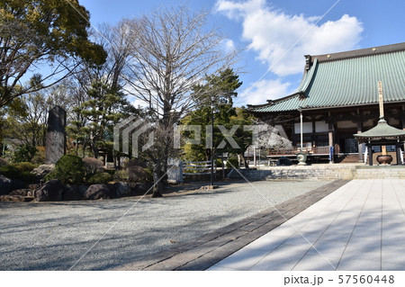 遊行寺　藤沢市 57560448
