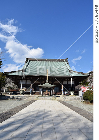 遊行寺　藤沢市 57560449