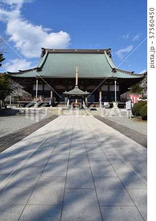 遊行寺　藤沢市 57560450