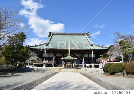 遊行寺　藤沢市 57560453