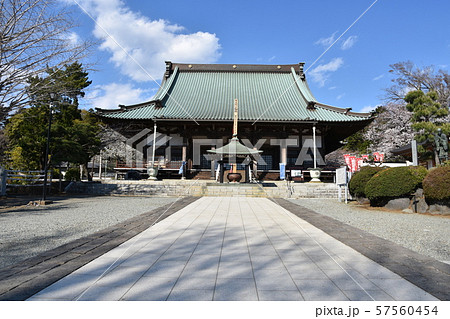 遊行寺　藤沢市 57560454