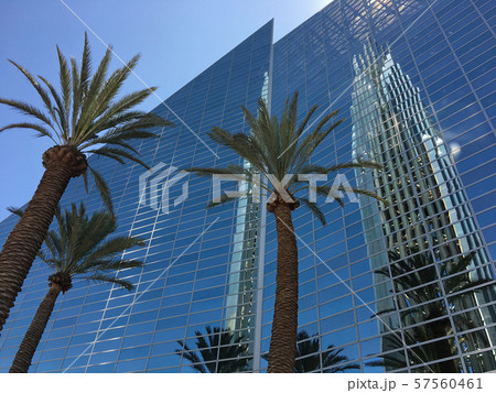 写り込み 写り込み 57560461