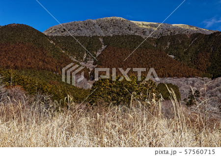 朝霧高原から見る冬の竜ヶ岳 57560715