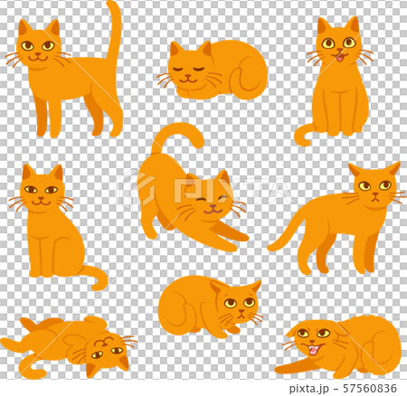 Cartoon Cat Poses Setのイラスト素材