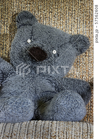 old teddy bear in a chair old teddy bear in a chair 57562608