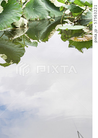 ヘラ釣り ヘラ釣り 57563221